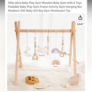 Baby Play Gym